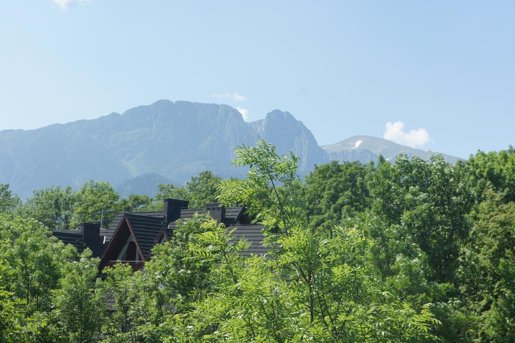 Apartamenty Stara Polana Zakopane Ngoại thất bức ảnh